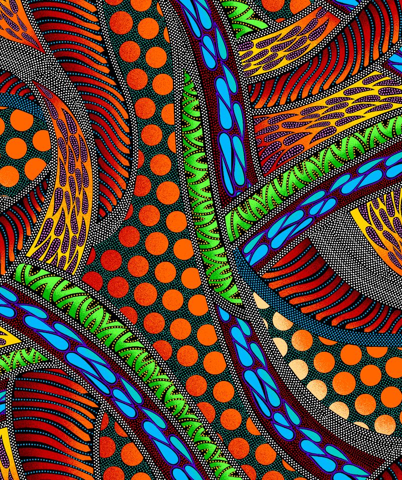 Indigenous-designed fabric panel 'Turtle' by Betty Albert, featuring vibrant multi-color artwork. Available exclusively at First Trend Fabrics for wholesale across the USA. Geo Multi
