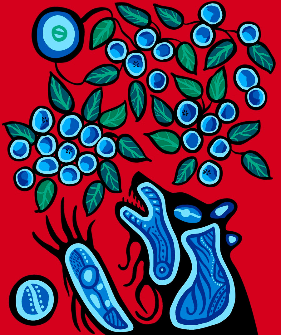 Indigenous Blueberry Bear fabric with colorful bear and blueberry prints, available across the USA from First Trend Fabrics. Panel Red
