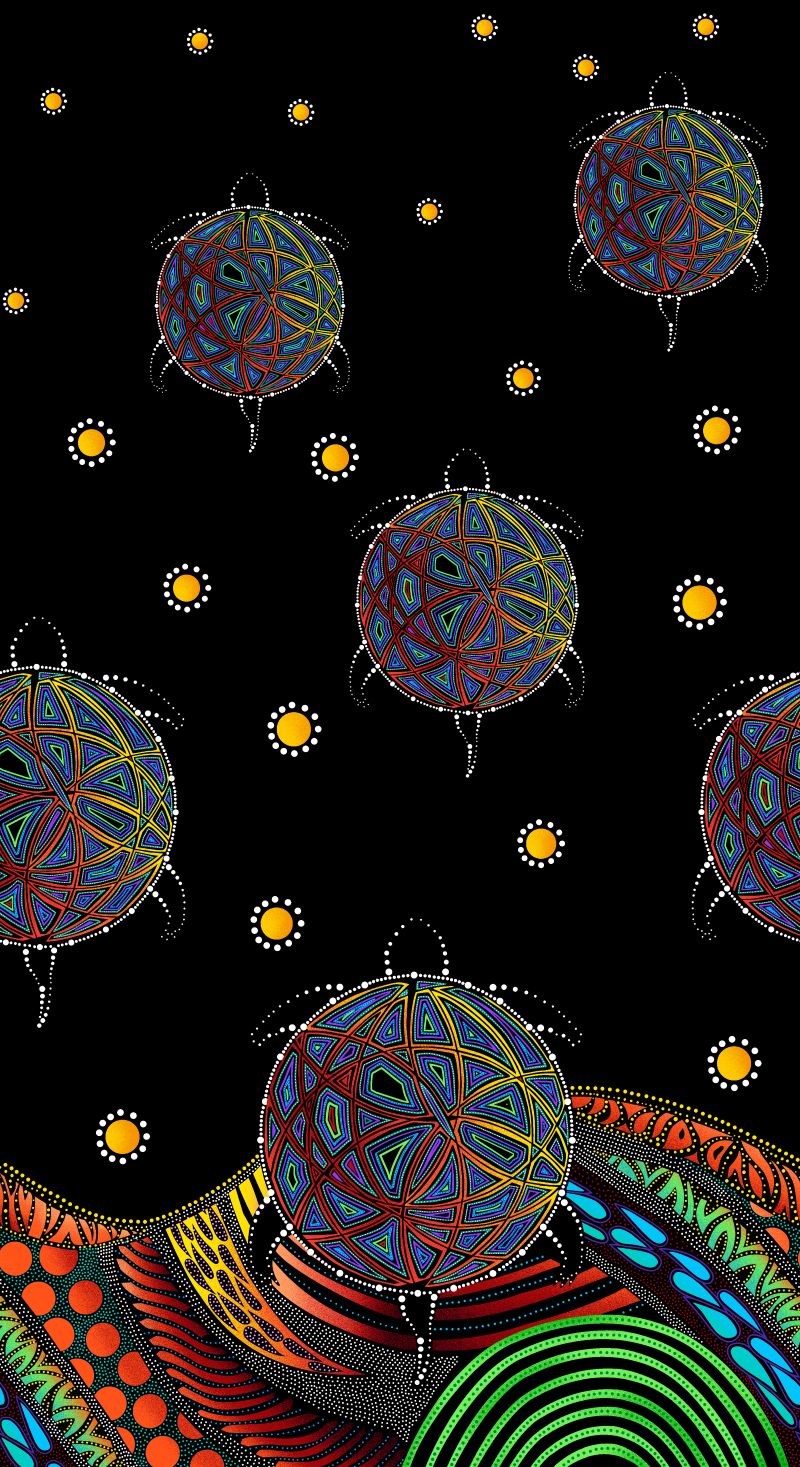 Indigenous-designed fabric panel 'Turtle' by Betty Albert, featuring vibrant multi-color artwork. Available exclusively at First Trend Fabrics for wholesale across the USA. Single Border Black.