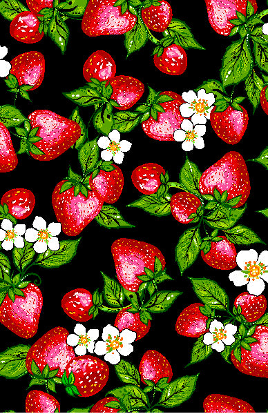 Strawberry Dreamcatcher Native American fabric by Carla Joseph, available across the US at First Trend Fabrics – CAJ-0008|Black