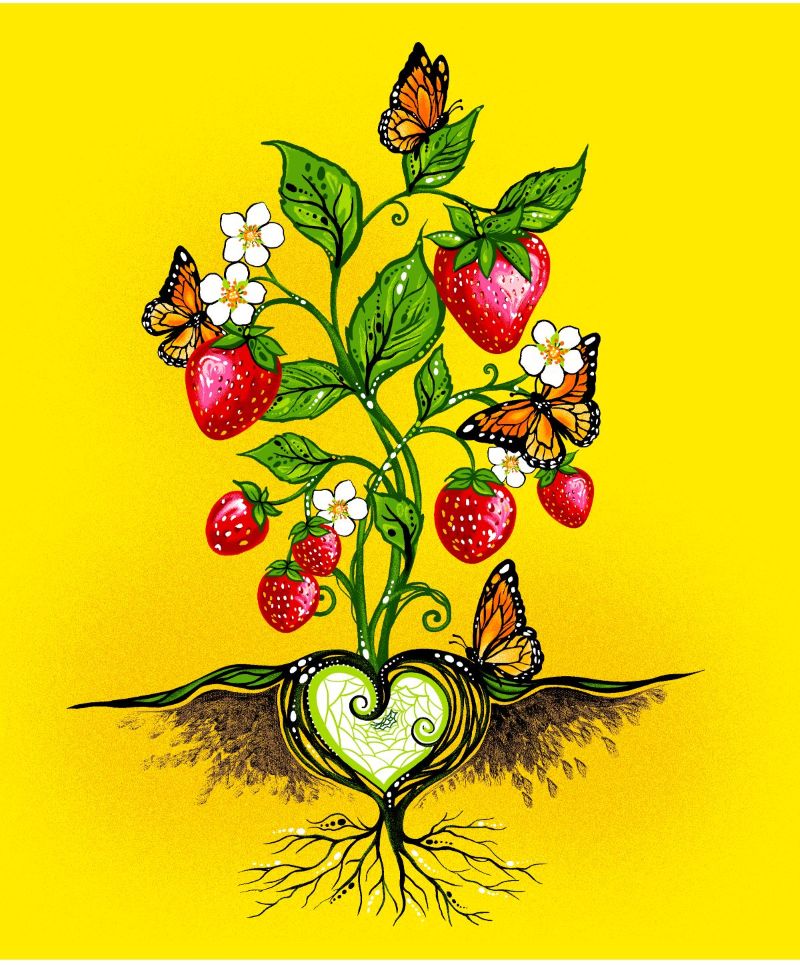 Strawberry Dreamcatcher Native American fabric by Carla Joseph, available across the US at First Trend Fabrics – CAJ-0005P|Yellow